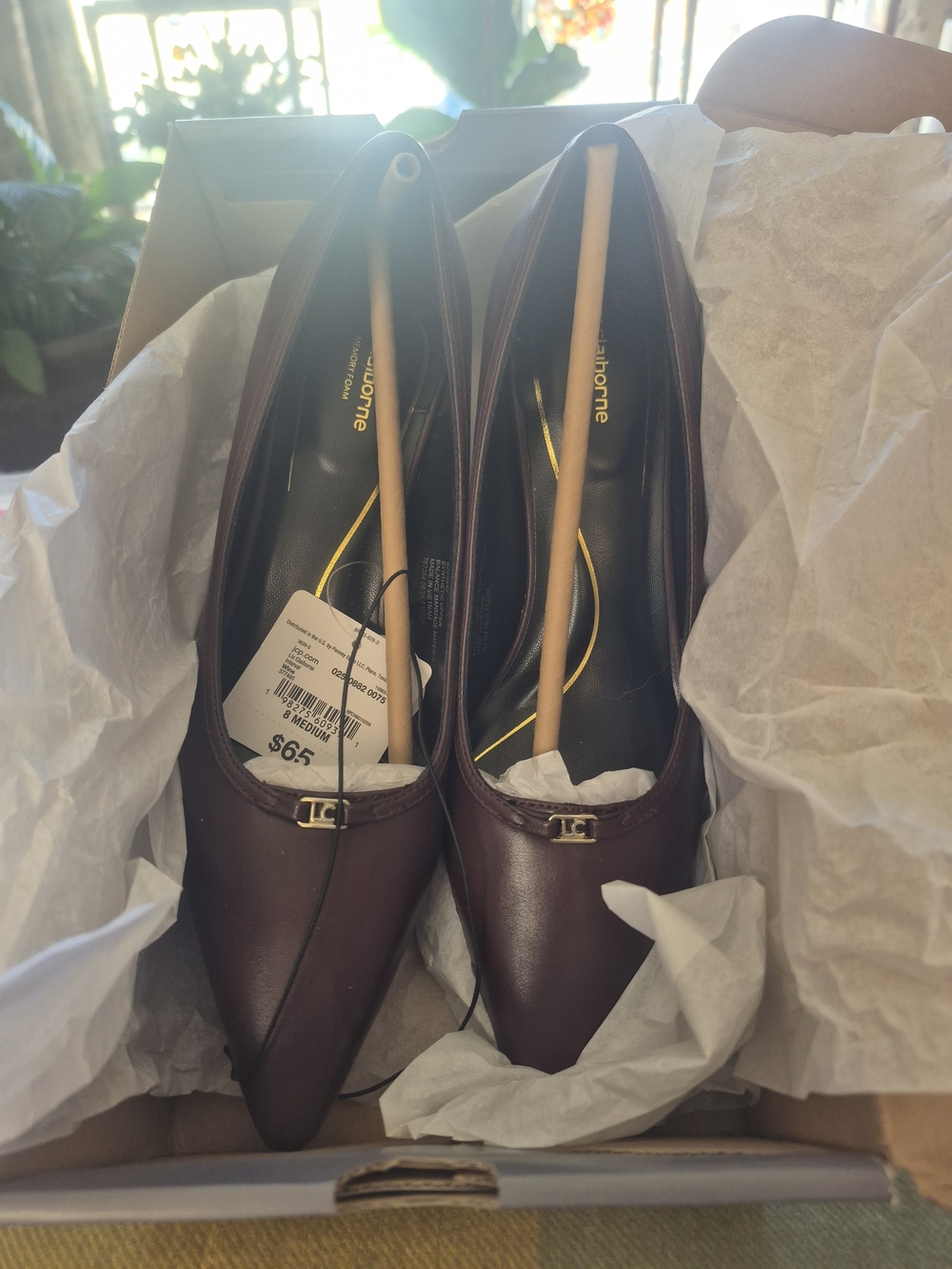 Liz Claiborne Pointed Toe Heels in Dark Brown